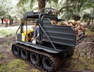agriculture