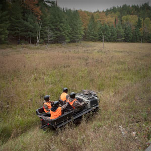 Argo in a field